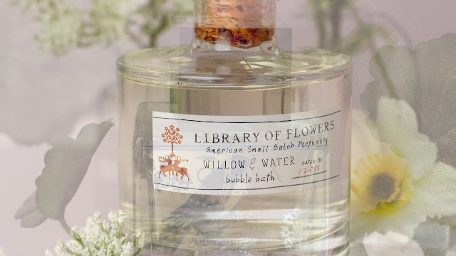 Amazon.com: Margot Elena Winter Discovery Box : Beauty & Personal Care